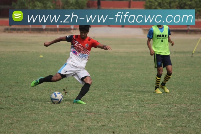 世界杯在线观看平台生态图