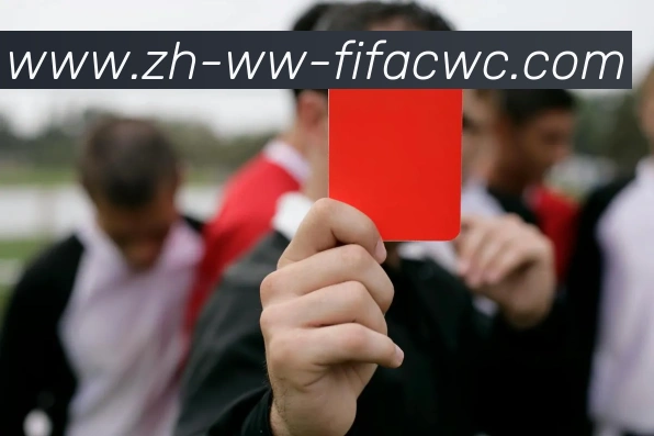 世界杯在线观看APP 封面图