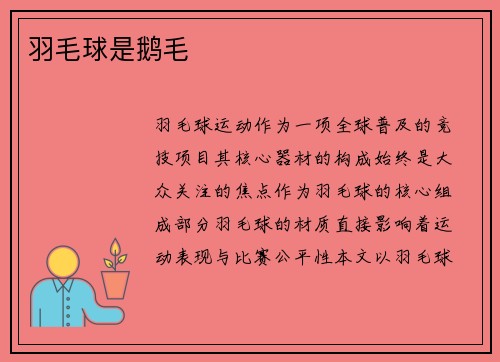 羽毛球是鹅毛