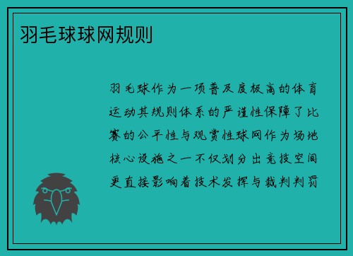 羽毛球球网规则